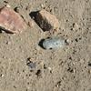 Projectile Point Preform, Northern Baja California